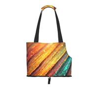 Foldable Pet Carrier & Shoulder Bag, Vibrant Rainbow Stripe Print Pet Tote Bag Cat Travel Tote for Small Dogs, Puppy Transport, Portable Animal Handbag