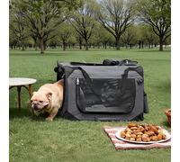 Foldable Pet Carrier with Mesh Windows and Fluffy Mat