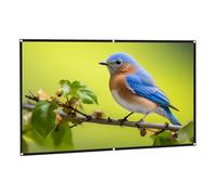 Foldable Portable Projector Screen 200-inch 4K 16:9 HD Rear Front Projection Screen Washable for Outside Theater Home Backyard Movies(120 Inch 16:9)