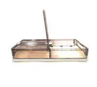 Foldable Underbed Storage Box with Lid - 40L Large Capacity Plastic Under Bed Organizer on Wheels for Clothes, Shoes, Blankets - Brown Transparent, 31.5” x 15.7” x 5.4” (BROWN)