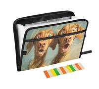 Folder with Labels 13 Pockets A4 Letter Size with Zipper Closure for Folder for School Cartoon Funny Vizsla Dogs Fear carpetas de