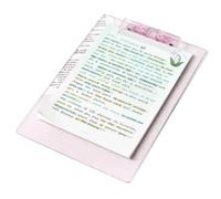 folders Transparent Colorful Clipboard Writing Board A4 Folders for School Office documents(Rose)