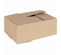 Folding Box Brown Cardboard 25 x 17.5 x 10 cm Storage Boxes 50 Pack Collapsible