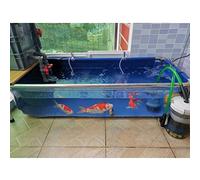 Folding fish ponds, indoor freestanding aquariums, PVC Canvas Liner Assemble Aquarium Pool, Transparent Viewing Panel, Cube Display Show Holding Tank for Saltwater Fish, Koi Turtles(120x80x71cm)