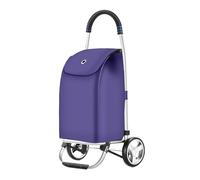 Folding Shopping Trolley with Removable Bag - Multi-Purpose Cart for Groceries, Laundry, and Errands - Lightweight 2-Wheel Design for Easy Storage