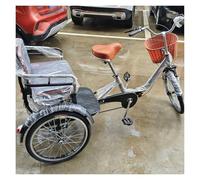 Folding Tricycle with Adjustable Baskets, Three-Wheel Pedal Bike for Senior Mobility and Transportation