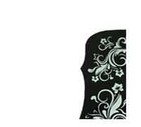 Folk Guitar Large Flower Bird White Flower Pickguard(2)