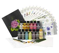 FolkArt Let's Paint One Stroke Home Town Kit, 39 PC, Acrylic, Assorted, 1 Count (Pack of 1)