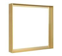 FOLKOR Canvas Floating Frame for 24x24 Oil Paintings, DIY Metal Floater Frame with 1.5" Deep for Canvas Prints Wall Art/Portrait/Landscape Living Room Bedroom Kitchen Decor (Gold)