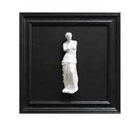 FOLKOR LIFE Framed Black and White Wall Sculpture Venus de Milo