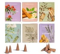 Folkulture Incense Cones Scented | Set of 6 (60 Cones) Pack | Palo Santo, Frankincense, White Sage, Sandalwood Inscents for Gifts for Her | Incense Cone Variety Pack