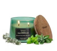 Folkulture Scented Candle | 8.81 Oz - Eucalyptus Candles for Home Scented | Sage & Mint Soy Candle or Non Toxic Candles for Relaxing | Long Lasting Green Candle for Relaxation Gifts for Women