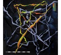 Folly Group - Down There