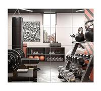 FOLUVUR 14"x12" Home Gym Mirror Wall-Mounted Glass Full Length Mirror Tiles Door Mirror Wall Mirror Full Body Mirror Frameless for Dance Garage Yoga, 16PCS