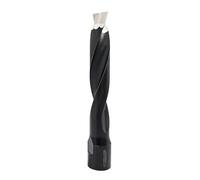 FOMASP Domino Cutter, Solid Carbide Domino Bit for Domino DF700,12mm