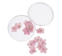 FOMIYES 1 Set 20Pcs Natural Forget- Me- Not Dried Flowers Dont Forget Me Dried Flower Real Dried Pressed Flowers Handmade DIY Makeup Nail Art Accessories （ Pink