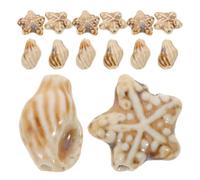 FOMIYES 50pcs Porcelain Ceramic Beads Set with Conch and Sea Star Shapes, Large Hole Ocean Animal Charms for DIY Jewelry Making, Bracelet Craft Supplies