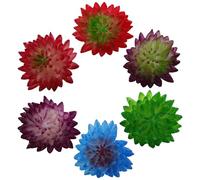 FOMIYES 6pcs Artificial Succulent Plants Vivid Appearance, Highly Simulated Pvc Material, Elegant and Chic Style, for Party Decorations and Bar Adornments Color Color