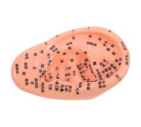 FOMIYES Ergonomic Chinese Medicine Acupressure Ear Magnets Model Kit for Teaching and Laboratory Supplies, Reusable PVC Human Ear Anatomy Model Improving Sleep Quality No Skin Irritation
