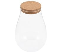 FOMIYES Hydroponic Plant Terrarium Glass Bottle with Cork Lid 20x14cm Bryophyte Ecological Micro Landscape Container Indoor Propagation Station for Moss and Small Plants