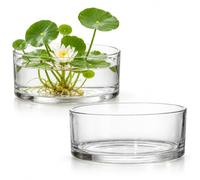 FOMIYES Large Cylindrical Vase Clear Glass Hydroponic Plant Vase Large Terrarium Glass Fish Bowls Table Centerpiece Hydroponic Plants Small