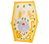 FOMIYES Magnified Plant Cell Anatomy Model Educational Teaching Aid for Middle School Biology Science Classroom Learning Tool Micro Structural Details