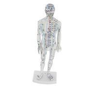 FOMIYES Male Human Body Acupuncture Model for Chinese Medicine Teaching Simulation Body with Meridian Points Acupoint Mannequin for Student Practice and Massage Training