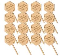 FOMIYES Plant Markers 20Pcs Wooden Labels for Garden Herb and Vegetable Identification Easy to Write and Insert Plant Tags
