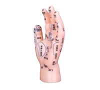 FOMIYES PVC Hand Acupuncture Model with Labeled Pressure Points for Reflexology and Massage Training Educational Tool for Traditional Chinese Medicine Schools and Healthcare Centers