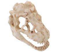 FOMIYES Resin Dinosaur Skull Model Mini Tyrannosaurus Head Skeleton Simulation Educational Tool for Science Teaching and Home Decoration