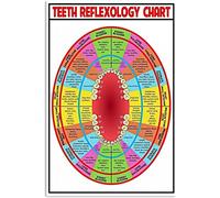 FONALO Teeth Reflexology Chart Knowledge Dentistry Educational Wall Art Metal Tin Sign Retro Poster Dentist Office Home Living Room Decoration 14x20cm