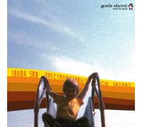 Fonda 500 - Spectrumatronicalogical Sounds