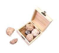 FONDOTIN 1 Box Gem Mining Kit for Educational Geology Safe Excavation with Real Gemstones and Minerals Fun Activity for Adults Rock Collection Box