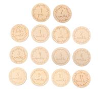 FONDOTIN 14pcs Cards for Newborns Photo Discs for Growth Tracking Shower Birthday Props Capture Precious Memories