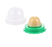 FONDOTIN 2pcs Catnip Lollipop Cat Candy Snack for Cats Kittens Natural Edible Catnip with Vitamin Promote Digestion and Tongue Activity Healthy Playful Treat with Transparent Cover Random