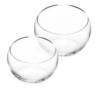 FONDOTIN 2pcs Glass Succulent Planters Outdoor Garden Pots Modern Design for Decorative Flower Arranging