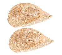 FONDOTIN 2pcs Mini Hats for Dolls Decoration Crafts Miniature Sun Hat for Dogs for Halloween and Thanksgiving Celebrations Craft Base