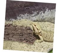 FONDOTIN 2pcs Reptile Climb Platform and Bark Hiding Hut for Terrarium Decor Natural Pet Habitat for Lizards Geckos Bearded Dragons Suitable for Climbing Basking and Resting