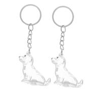 FONDOTIN 2pcs Transparent Dog Hair Collector Keychain Pet Memorial Storage Box Sturdy Abs Keepsake Organizer Portable Memory Holder for Display and
