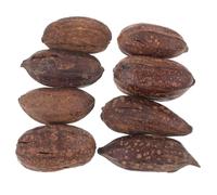 FONDOTIN 8pcs Natural Dried Fruit Bird Chew for Parrots Macaws Conures Mental Stimulation Foraging Shredding Cage Accessories to Reduce Loneliness