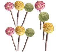 FONDOTIN 9pcs Pet Chewing Sticks for Small Animals - Rabbit, Guinea Pig, Hamster Molar Chew Rose, Calendula, and Grass Flavors - Natural Bite Treats for Teeth Grinding and Comfort