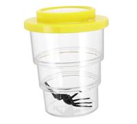 FONDOTIN Bugs Jar Viewer Boy Girl Insect Box for Nature Exploration Lightweight Portable Bug Container for Preschool Science Learning Outdoor Exploration Tool