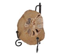 FONDOTIN Colorful Ammonite Specimen with Stand Geological Educational Model for Learning Unique Decor for Mineral Collectors and Enthusiasts Vibrant Patterned Table Ornament