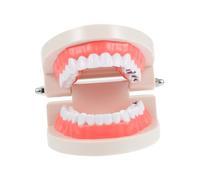 FONDOTIN Educational Teeth Model Teaching Aid High Detail Caries Simulation Safe Material Hand Eye Coordination Development for Early Oral Hygiene Learning