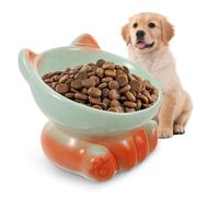 FONDOTIN Elevated Ceramic Cat Food Bowl with Tilted Design for Improved Posture Raised Pet Feeder for Small Dogs and Kittens Easy Clean Feeding Station Better Digestion and Comfort