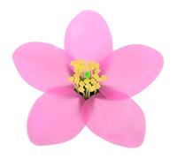 FONDOTIN Enlarged Peach Blossom Biology Model for High School and Middle School Teaching Faux Peach Branches with Detailed Flower Structure Portable Visual Learning Tool for Biology