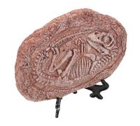 FONDOTIN Fossil Decor Dinosaur Specimen for Reptile Tank Paleontological Ornament Landscape Decor