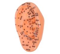 FONDOTIN Human Ear Simulation Model 17cm Acupressure Points for Reflexology Practice Teaching Medical Ear Acupuncture Training Tool for Nursing and Laboratory Use