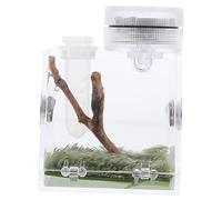FONDOTIN Jumping Spider Habitat Box Small Terrarium with Humidifier 2-Piece Set for Florida Jumping Spiders Insect Feeding Port