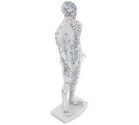 FONDOTIN Male Human Acupuncture Model Meridian and Acupoint Display, White Full-Body Acupoint Training Mannequin for Traditional Chinese Medicine and Acupuncture Practice